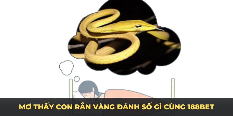 Mơ thấy con rắn vàng đánh số gì cùng 188BET