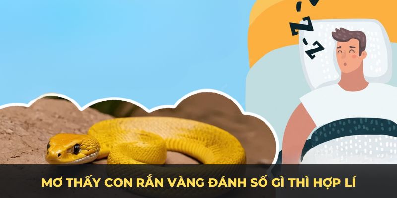 Mơ thấy con rắn vàng đánh số gì thì hợp lí